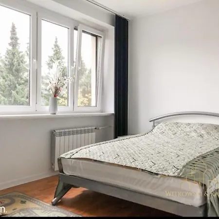 Nocleghause8,2-6s
